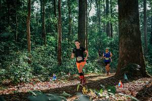 BIB: 
                            <button type="button" onclick="openModal(26083573)" class="btn btn-primary btn-sm float-right btn-popup" data-toggle="modal" data-target=".modal-high-quality">
                        <i class="fas fa-shopping-cart"></i> Add to Cart
                    </button>
                                            <button type="button" onclick="isThisMe(26083573, true)" class="btn btn-success btn-sm float-right btn-popup btn-isme hidden" data-toggle="tooltip" data-placement="bottom" title="นี่คือรูปของคุณใช่ไหม คลิกที่นี่เพื่อเอาเข้าอัลบั้ม">
                        <i class="fas fa-plus"></i> Add to album
                    </button>
                    <button type="button" onclick="isThisMe(26083573, false)" class="btn btn-warning btn-sm float-right btn-popup btn-isnotme hidden">
                        <i class="fas fa-ban"></i> Remove from album
                    </button>